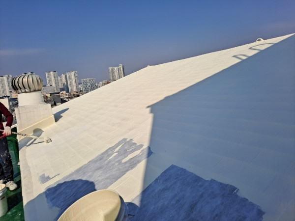 KakaoTalk_20220308_152650099.jpg